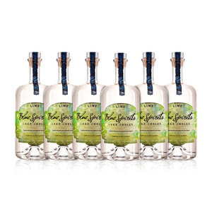 923657_BlueSpirits_Lime6_122920_29287f1e-4d1f-402a-b692-fc8d6e879dbb_300x