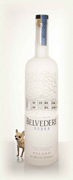 belvedere-vodka-with-light-6l-vodka_300x